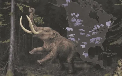 mastodon illustration