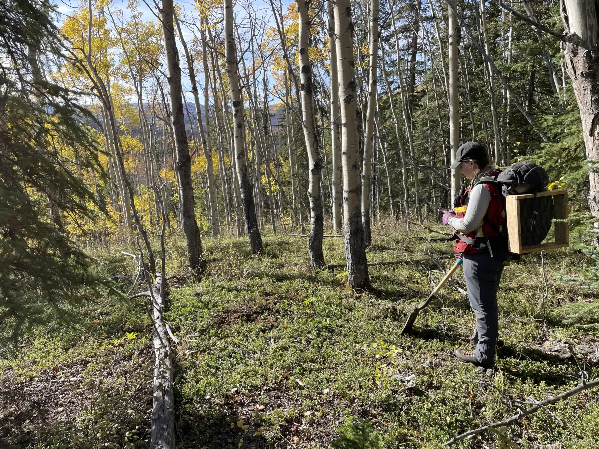 working in the field