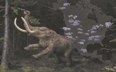 mastodon illustration